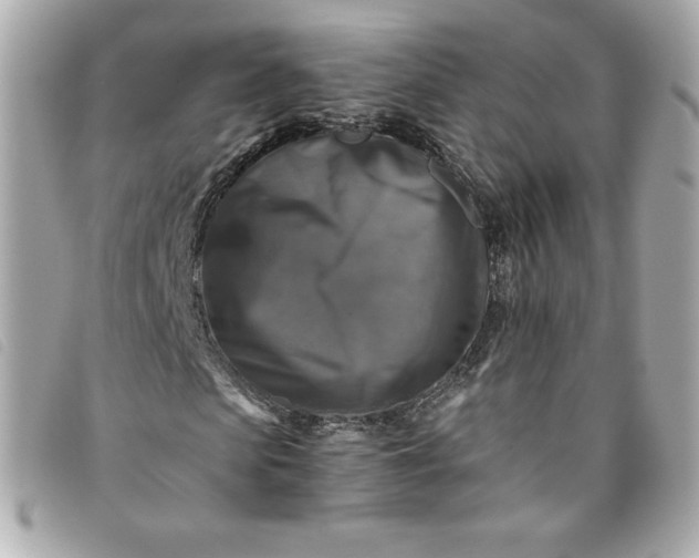 X0000093490913200710261114