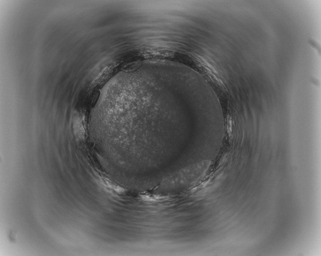 X0000093490915200710261114