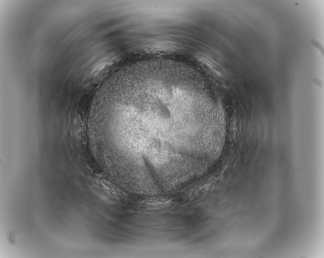 X0000093490917200710261114