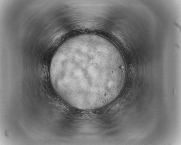 X0000093490918200710261114