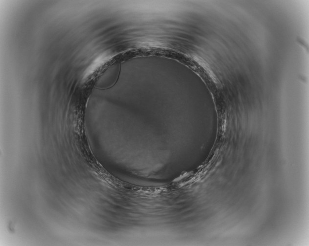 X0000093490919200710261114