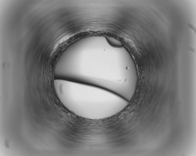 X0000093490920200710261114