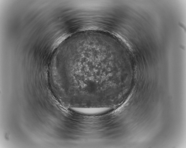 X0000093490921200710261114