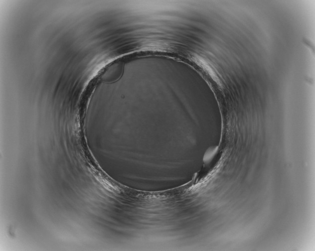 X0000093490923200710261114