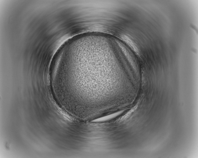 X0000093490924200710261114