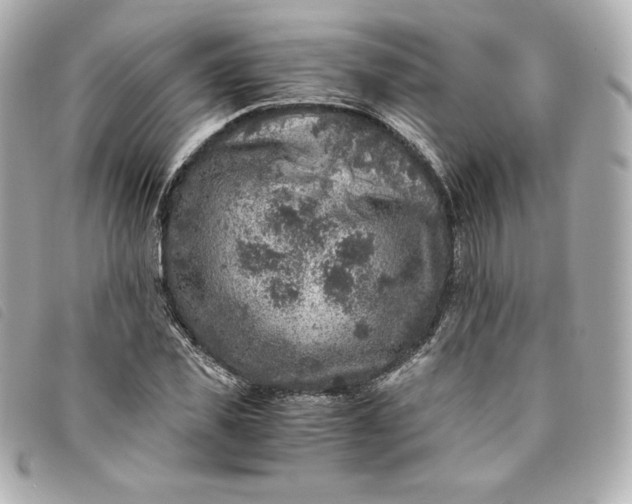 X0000093490925200710261114