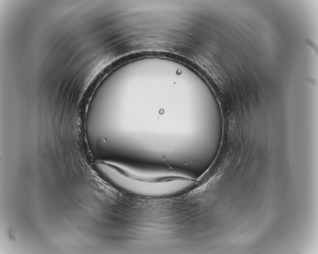 X0000093490926200710261114