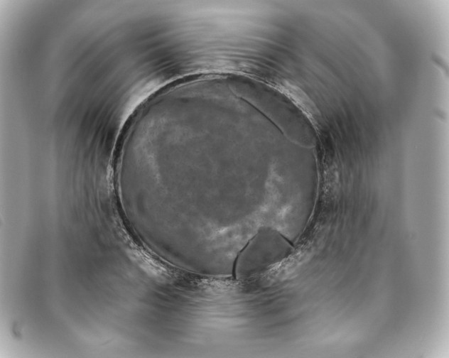 X0000093490928200710261114