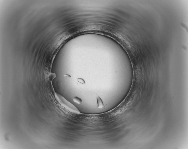 X0000093490929200710261114