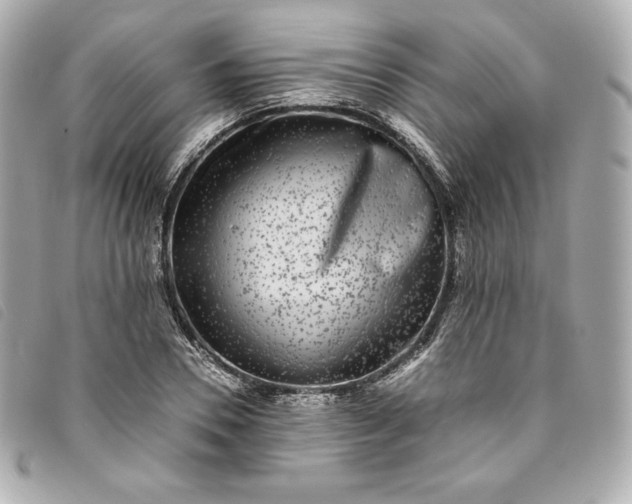 X0000093490930200710261114