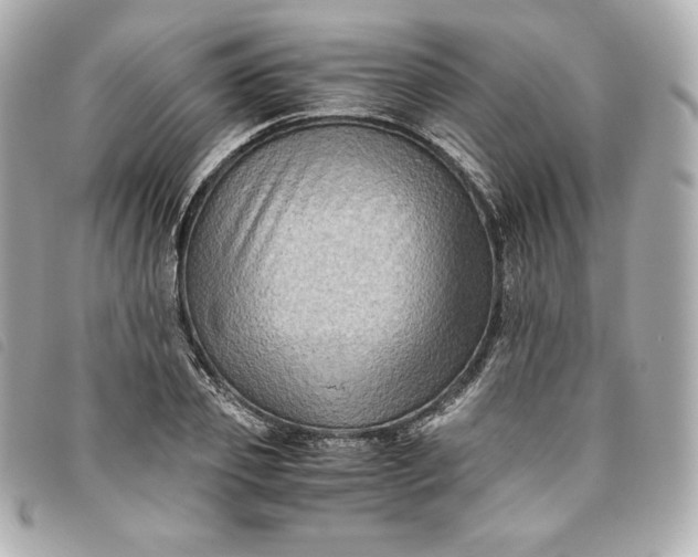 X0000093490933200710261114