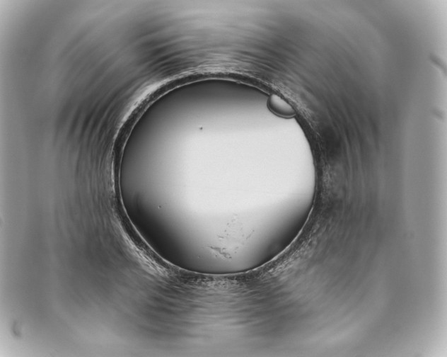 X0000093490934200710261114