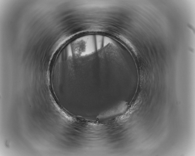 X0000093490935200710261114