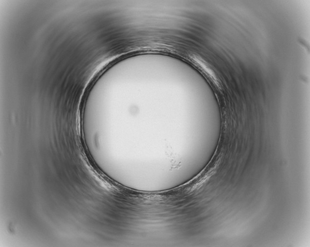 X0000093490940200710261114