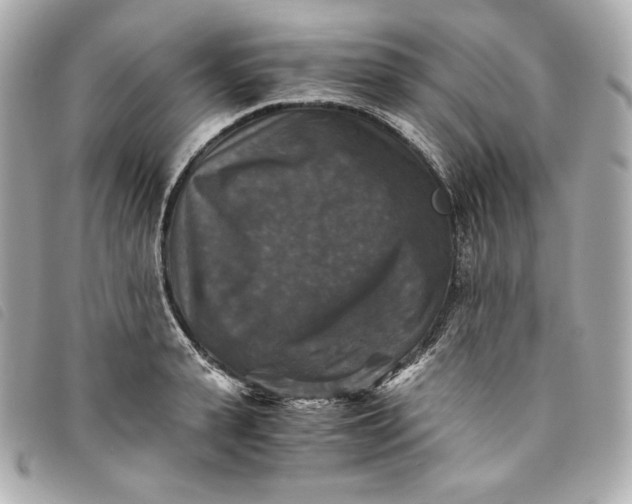 X0000093490943200710261114