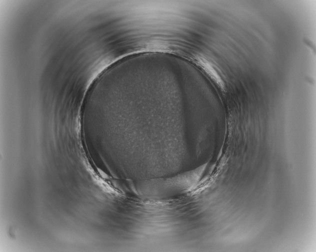 X0000093490944200710261114