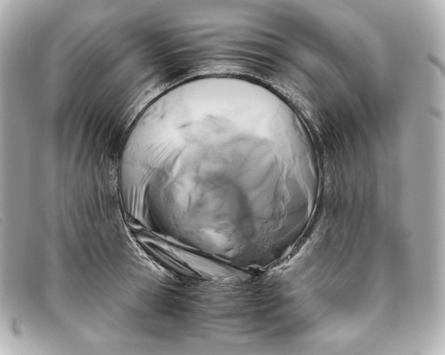 X0000093490945200710261114