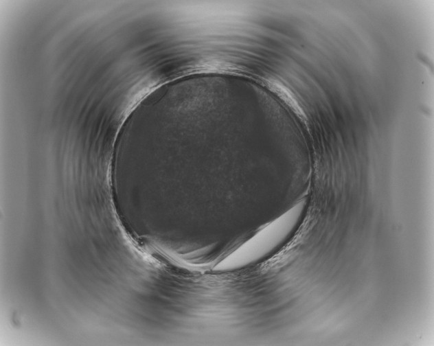 X0000093490946200710261114