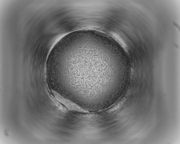 X0000093490948200710261114