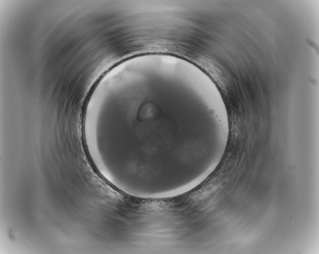 X0000093490950200710261114