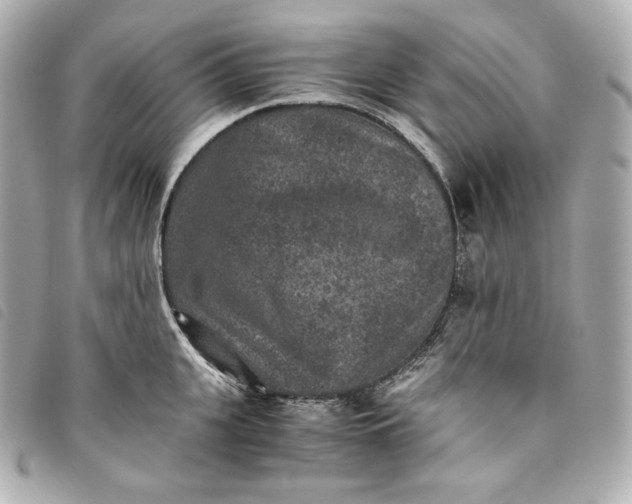 X0000093490951200710261114