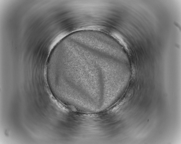 X0000093490952200710261115