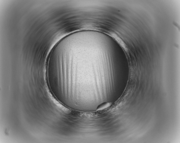 X0000093490955200710261115