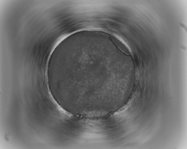 X0000093490959200710261115