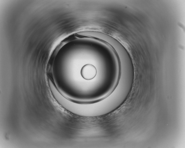 X0000093490960200710261115