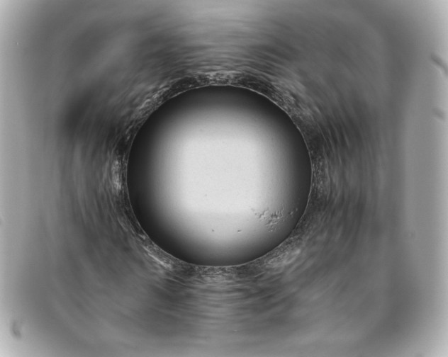 X0000093490962200710261114