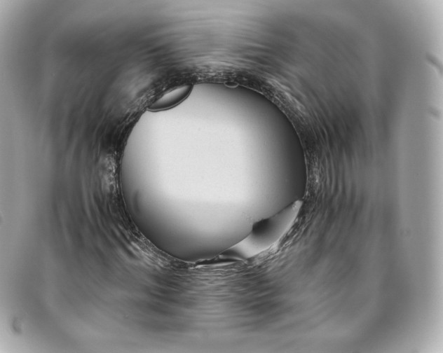 X0000093490964200710261114