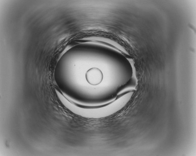 X0000093490965200710261114