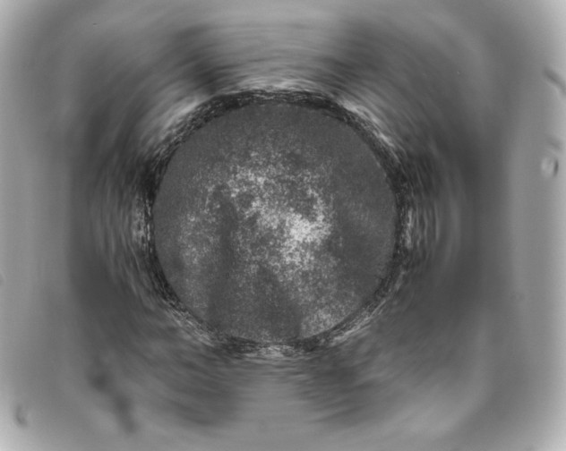 X0000093490966200710261114