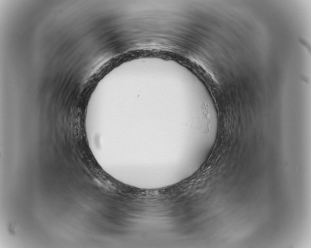 X0000093490968200710261114