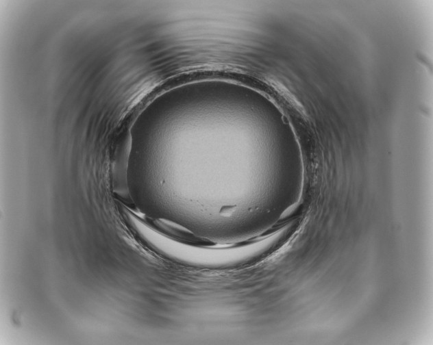 X0000093490969200710261114