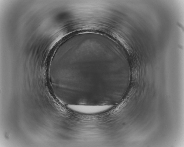 X0000093490975200710261114