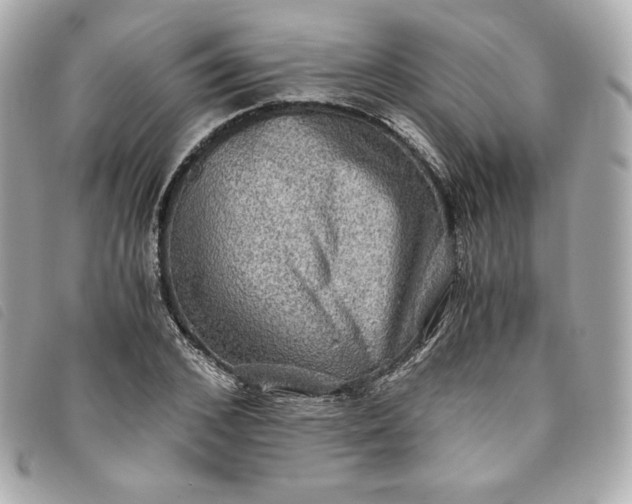 X0000093490976200710261114