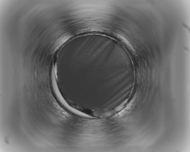 X0000093490977200710261114