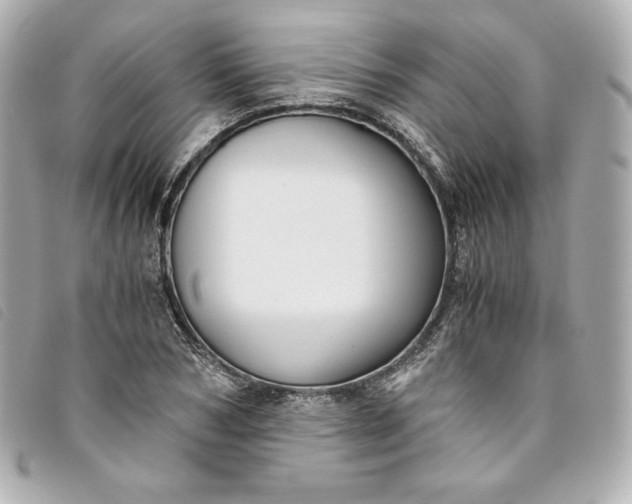 X0000093490978200710261114