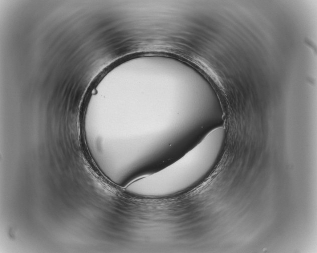 X0000093490980200710261114