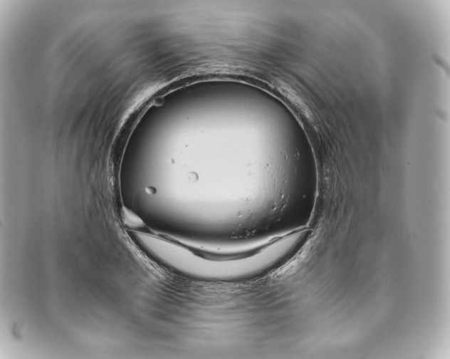 X0000093490981200710261114