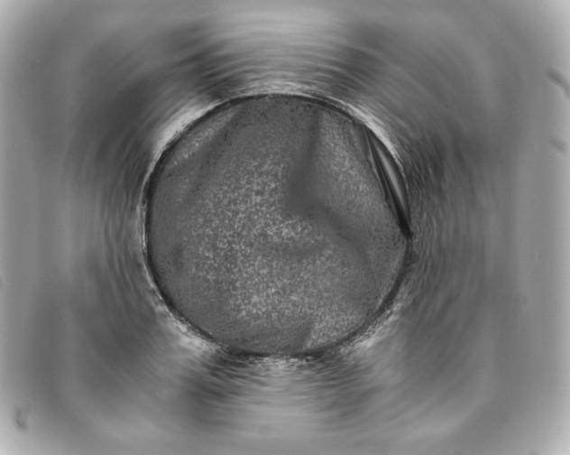 X0000093490987200710261114