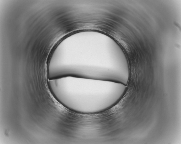 X0000093490988200710261114