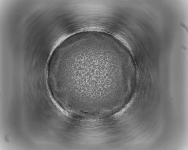 X0000093490989200710261114