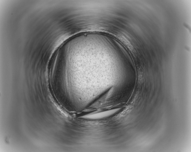 X0000093490990200710261114