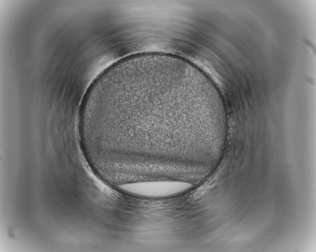 X0000093490991200710261114