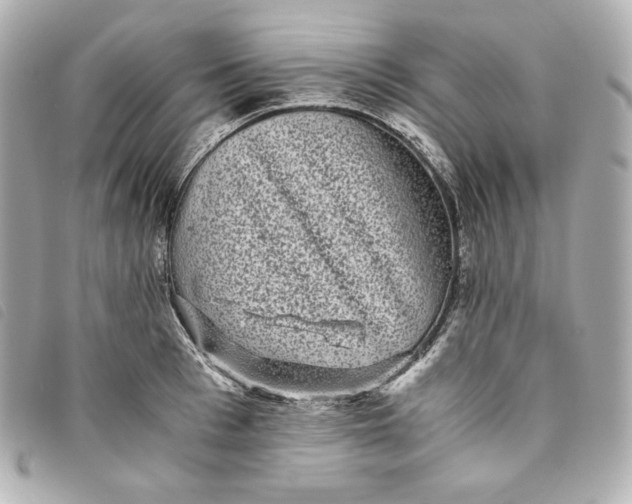 X0000093490993200710261114