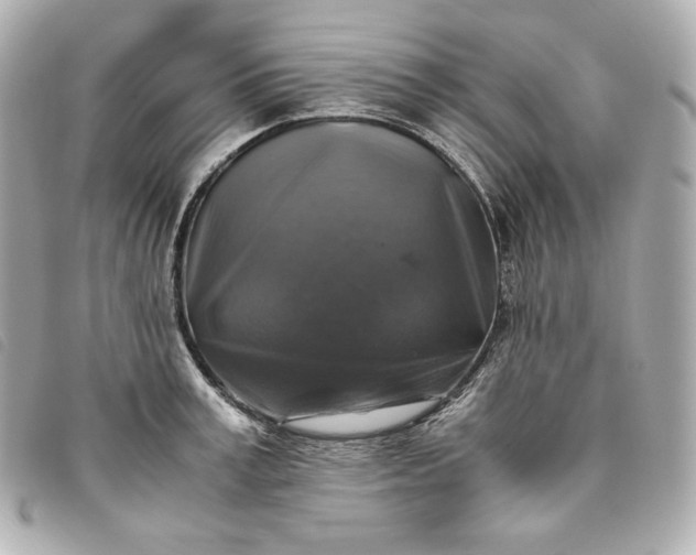 X0000093490995200710261114