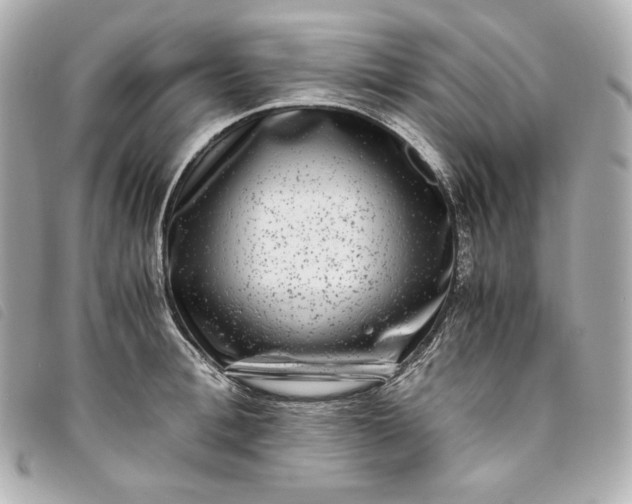 X0000093490996200710261114