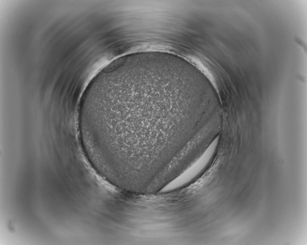 X0000093490997200710261114